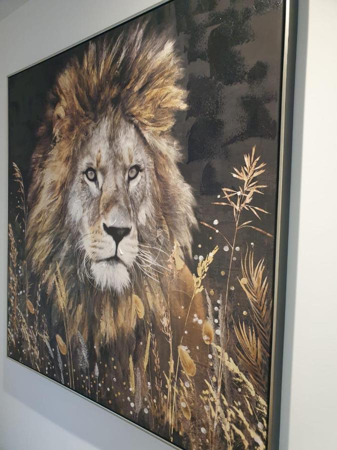 Le Jungle Apartman Pamiers Kültér fotó
